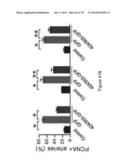 Compositions and Methods of Using Micro RNAs diagram and image