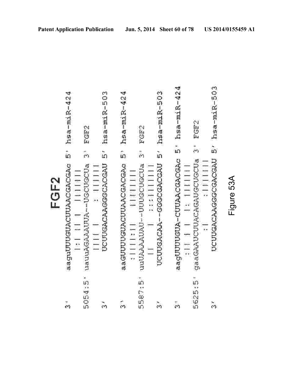 Compositions and Methods of Using Micro RNAs - diagram, schematic, and image 61