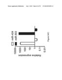 Compositions and Methods of Using Micro RNAs diagram and image