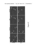 Compositions and Methods of Using Micro RNAs diagram and image