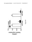 Compositions and Methods of Using Micro RNAs diagram and image