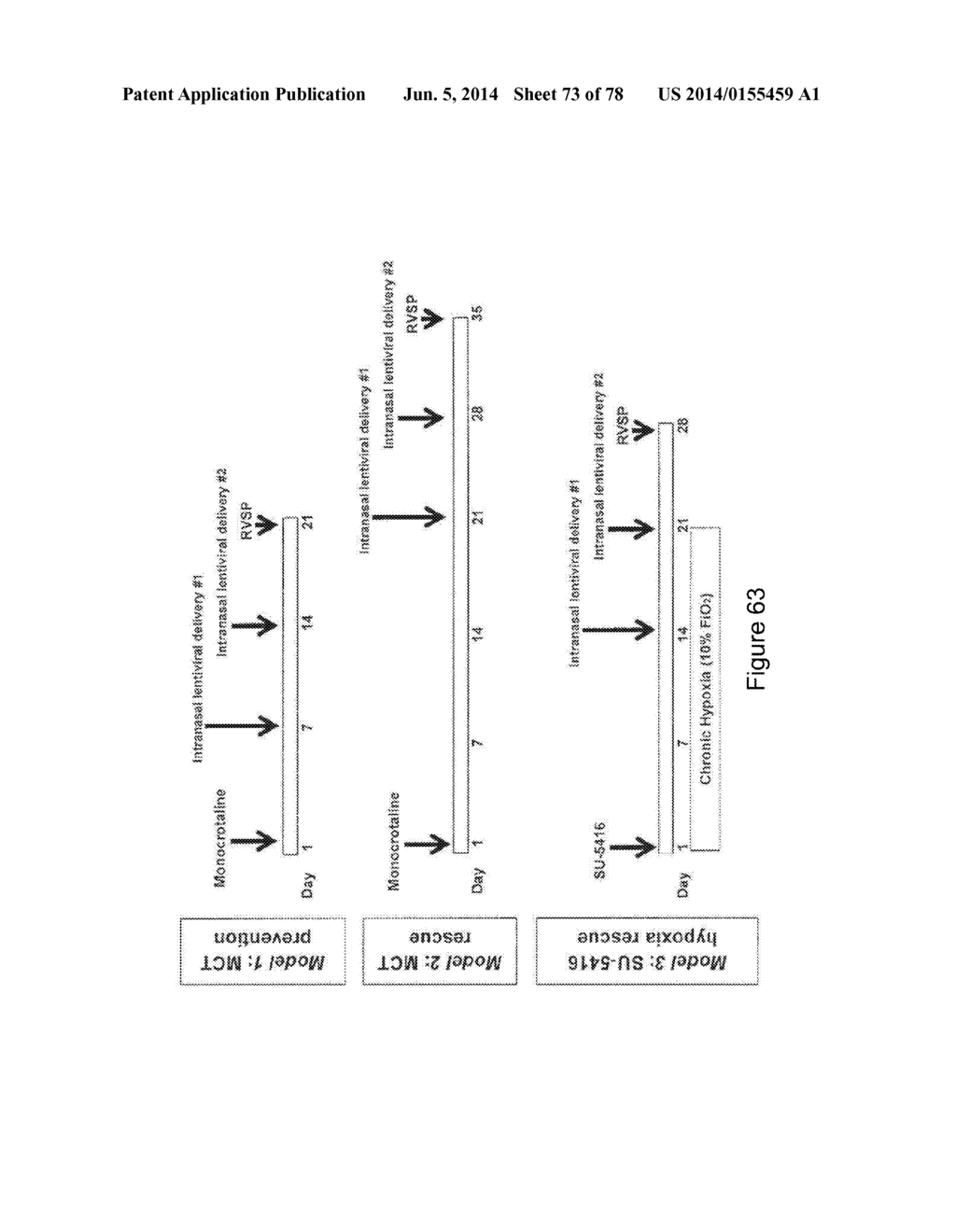 Compositions and Methods of Using Micro RNAs - diagram, schematic, and image 74