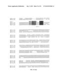 MICRO-RNA S THAT REGULATE MUSCLE CELLS diagram and image