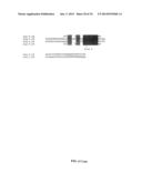 MICRO-RNA S THAT REGULATE MUSCLE CELLS diagram and image