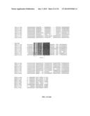 MICRO-RNA S THAT REGULATE MUSCLE CELLS diagram and image