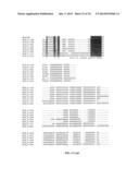 MICRO-RNA S THAT REGULATE MUSCLE CELLS diagram and image