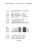 MICRO-RNA S THAT REGULATE MUSCLE CELLS diagram and image