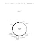 MODIFIED GLUCOSIDASE, BETA, ACID POLYNUCLEOTIDES FOR TREATING PROTEIN     DEFICIENCY diagram and image