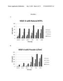 MODIFIED GLUCOSIDASE, BETA, ACID POLYNUCLEOTIDES FOR TREATING PROTEIN     DEFICIENCY diagram and image