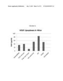 MODIFIED GLUCOSIDASE, BETA, ACID POLYNUCLEOTIDES FOR TREATING PROTEIN     DEFICIENCY diagram and image