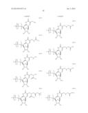 MODIFIED GLUCOSIDASE, BETA, ACID POLYNUCLEOTIDES FOR TREATING PROTEIN     DEFICIENCY diagram and image