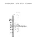 MODIFIED GLUCOSIDASE, BETA, ACID POLYNUCLEOTIDES FOR TREATING PROTEIN     DEFICIENCY diagram and image