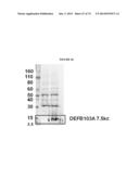 MODIFIED GLUCOSIDASE, BETA, ACID POLYNUCLEOTIDES FOR TREATING PROTEIN     DEFICIENCY diagram and image