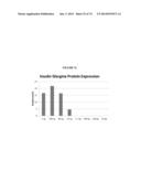 MODIFIED GLUCOSIDASE, BETA, ACID POLYNUCLEOTIDES FOR TREATING PROTEIN     DEFICIENCY diagram and image