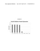 MODIFIED GLUCOSIDASE, BETA, ACID POLYNUCLEOTIDES FOR TREATING PROTEIN     DEFICIENCY diagram and image