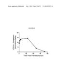 MODIFIED GLUCOSIDASE, BETA, ACID POLYNUCLEOTIDES FOR TREATING PROTEIN     DEFICIENCY diagram and image