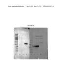 MODIFIED GLUCOSIDASE, BETA, ACID POLYNUCLEOTIDES FOR TREATING PROTEIN     DEFICIENCY diagram and image