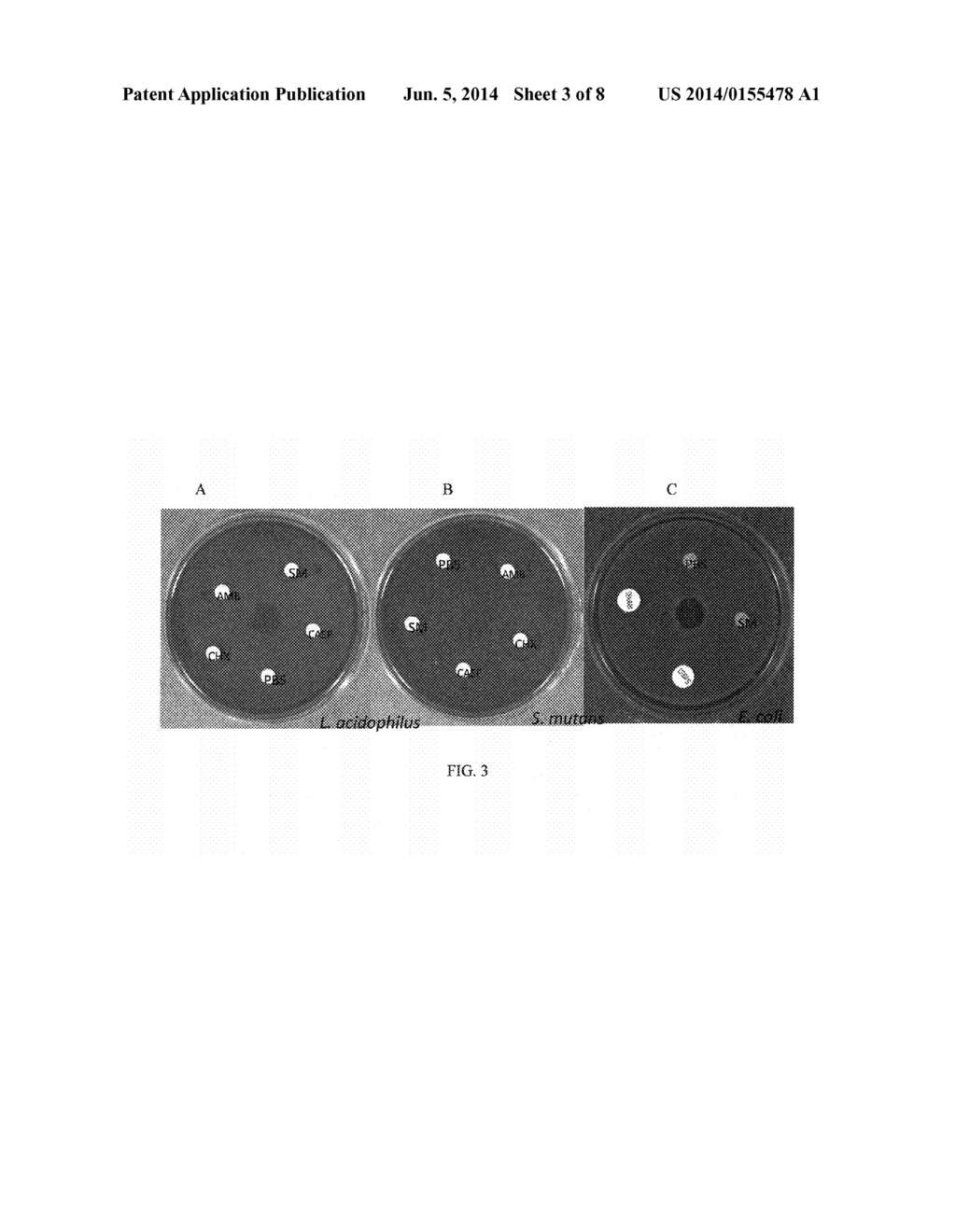 ANTIFUNGAL COMPOUND AND USES THEREOF - diagram, schematic, and image 04