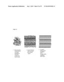 Templated Native Silk Smectic Gels diagram and image