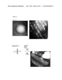 Templated Native Silk Smectic Gels diagram and image