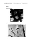 Templated Native Silk Smectic Gels diagram and image