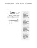 Templated Native Silk Smectic Gels diagram and image