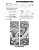 NANO-SIZED COMPOSITES CONTAINING POLYVINYL PYRROLIDONE MODIFIED SODIUM     SILICATES AND METHOD FOR MAKING BINDERS USING SAME diagram and image