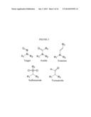 Molecularly Imprinted Polymers Selective for Tobacco Specific Nitrosamines     and Methods of Using Same diagram and image