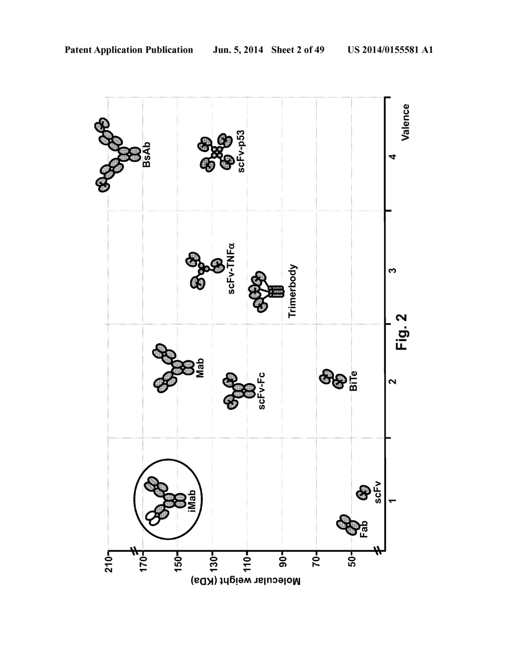 Methods For Making Multimeric Polypeptides - diagram, schematic, and image 03