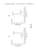 Methods For Making Multimeric Polypeptides diagram and image