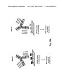 Methods For Making Multimeric Polypeptides diagram and image