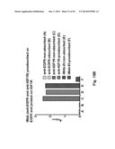 Methods For Making Multimeric Polypeptides diagram and image