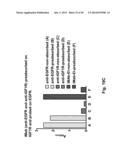 Methods For Making Multimeric Polypeptides diagram and image