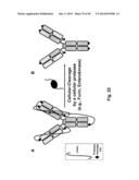 Methods For Making Multimeric Polypeptides diagram and image