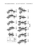 Methods For Making Multimeric Polypeptides diagram and image