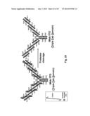 Methods For Making Multimeric Polypeptides diagram and image