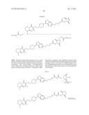 HAPTENS OF RISPERIDONE AND PALIPERIDONE diagram and image