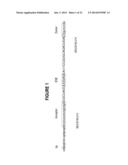 ANTISENSE OLIGONUCLEOTIDES FOR INDUCING EXON SKIPPING AND METHODS OF USE     THEREOF diagram and image