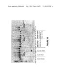 ANTISENSE OLIGONUCLEOTIDES FOR INDUCING EXON SKIPPING AND METHODS OF USE     THEREOF diagram and image