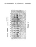 ANTISENSE OLIGONUCLEOTIDES FOR INDUCING EXON SKIPPING AND METHODS OF USE     THEREOF diagram and image