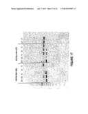 ANTISENSE OLIGONUCLEOTIDES FOR INDUCING EXON SKIPPING AND METHODS OF USE     THEREOF diagram and image