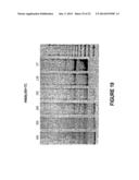 ANTISENSE OLIGONUCLEOTIDES FOR INDUCING EXON SKIPPING AND METHODS OF USE     THEREOF diagram and image