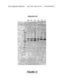 ANTISENSE OLIGONUCLEOTIDES FOR INDUCING EXON SKIPPING AND METHODS OF USE     THEREOF diagram and image