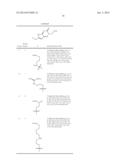 PEPTIDE NUCLEIC ACID DERIVATIVES WITH GOOD CELL PENETRATION AND STRONG     AFFINITY FOR NUCLEIC ACID diagram and image