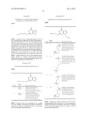 PEPTIDE NUCLEIC ACID DERIVATIVES WITH GOOD CELL PENETRATION AND STRONG     AFFINITY FOR NUCLEIC ACID diagram and image