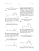 PEPTIDE NUCLEIC ACID DERIVATIVES WITH GOOD CELL PENETRATION AND STRONG     AFFINITY FOR NUCLEIC ACID diagram and image