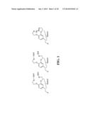 SELENIUM ATTACHMENT AGENT diagram and image