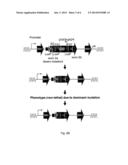 METHODS OF MODIFYING GENES IN EUKARYOTIC CELLS diagram and image