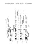 METHODS OF MODIFYING GENES IN EUKARYOTIC CELLS diagram and image