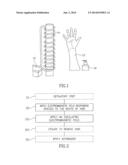 Epilation diagram and image